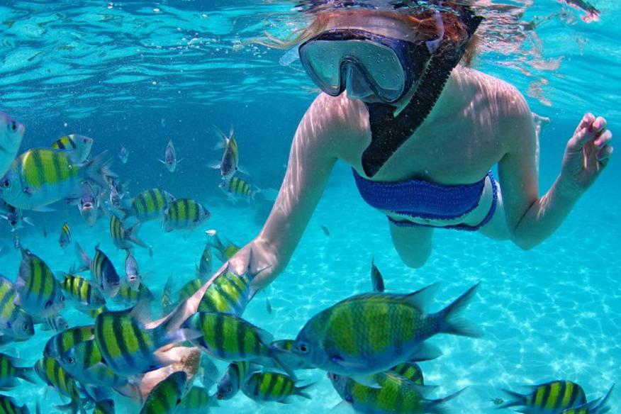 ATLANTIC WATERSPORTS Fort Lauderdale, FL 33304