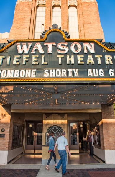 Stiefel Theatre