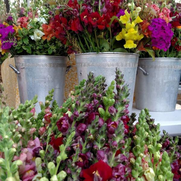 heritage farmer's market