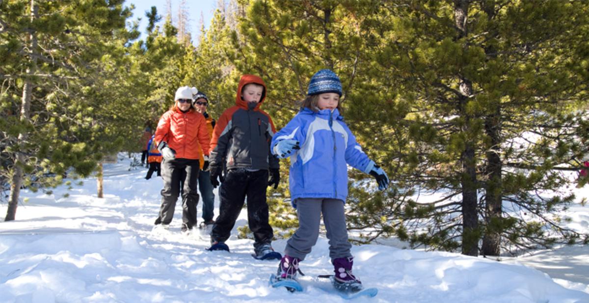 Family Snowshoe in the Woods