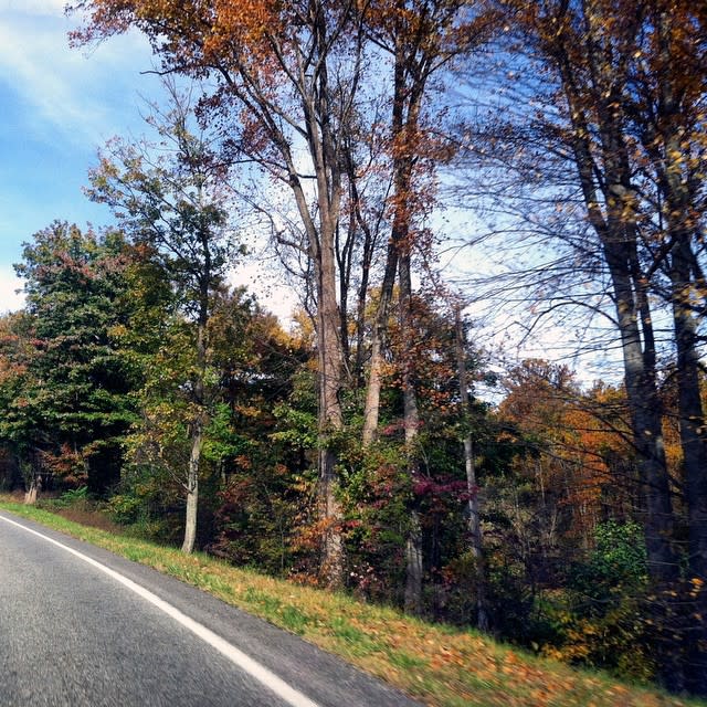 Fall Foliage Virginia