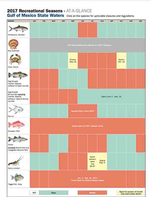 Panama City Beach Fishing Resources