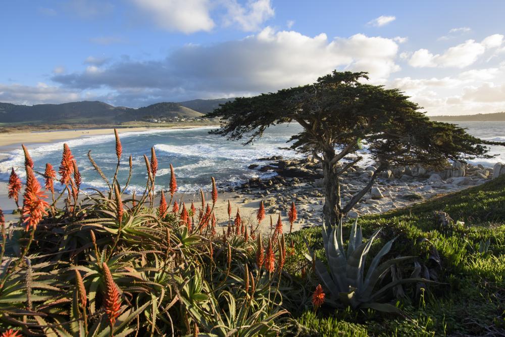7 Secret Beaches Mcabee Beach Zmudowski State Carmel River State Beach