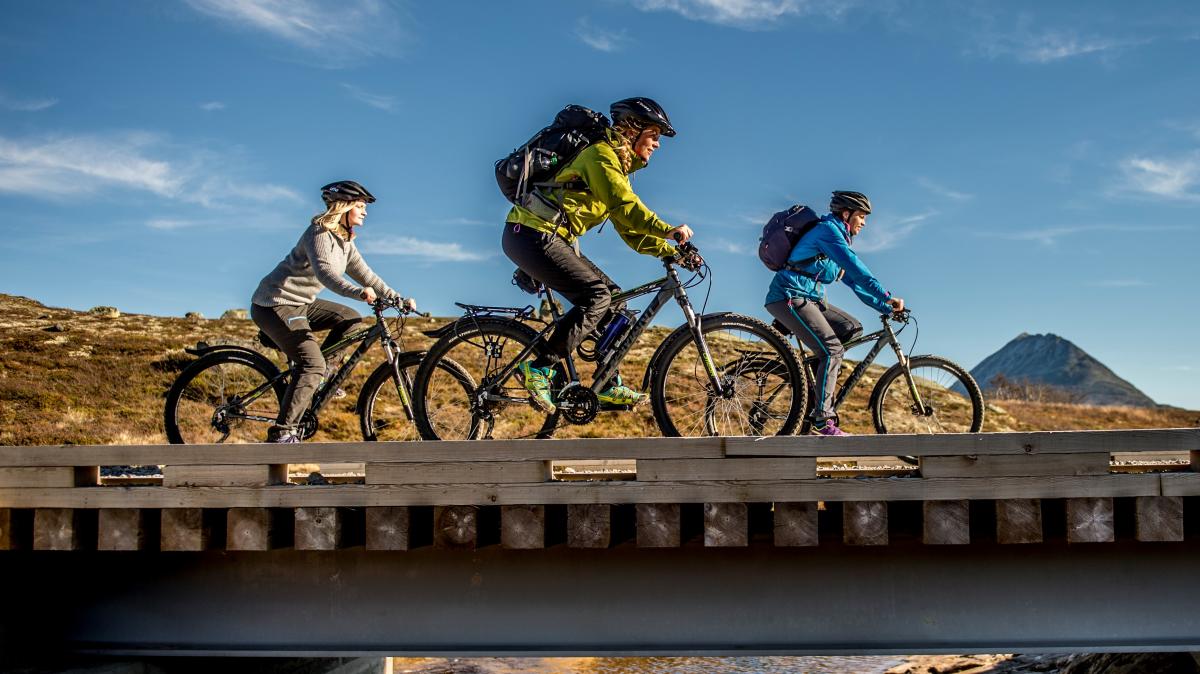 Cycling on Hardangervidda