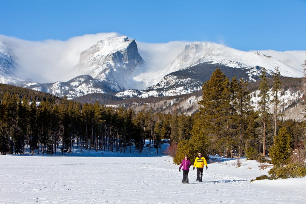 Snowshoe