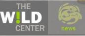 wild-center.JPG