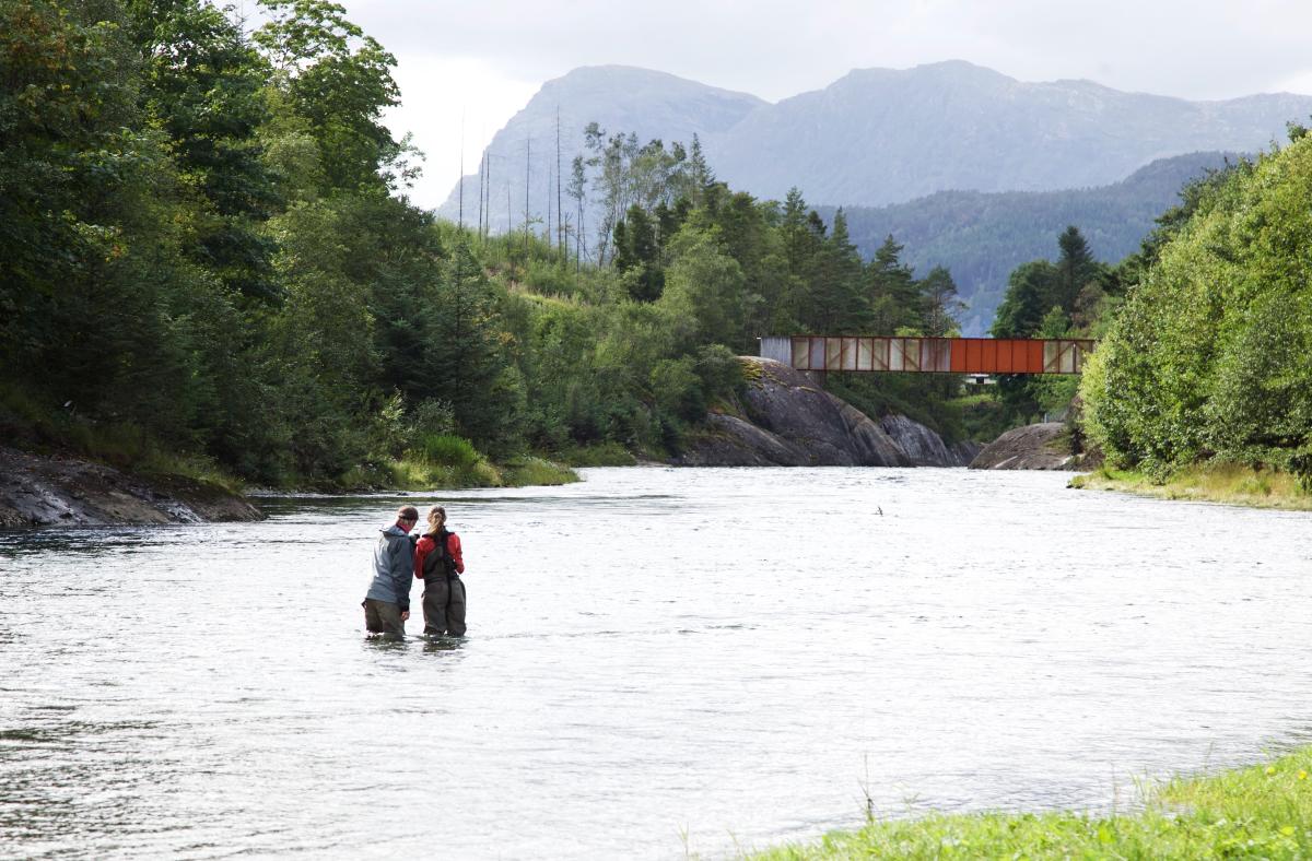 Laksefiske i Suldal.