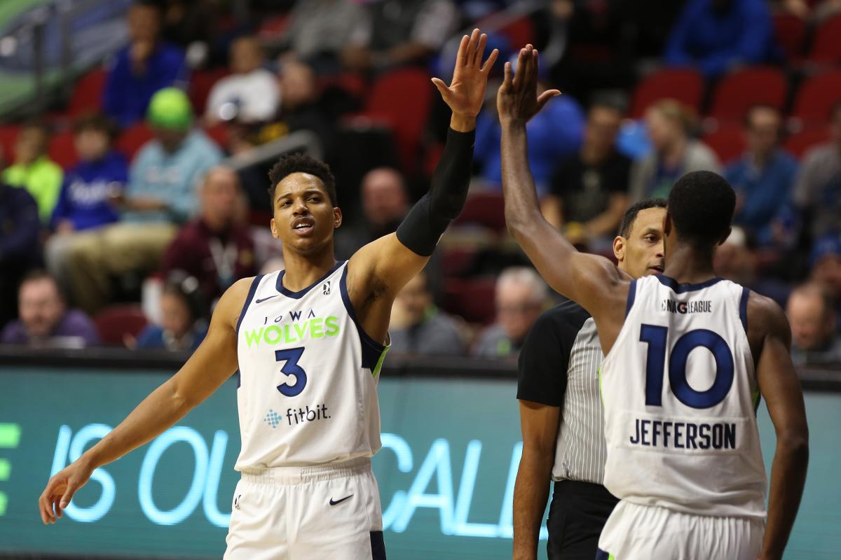 Iowa Wolves