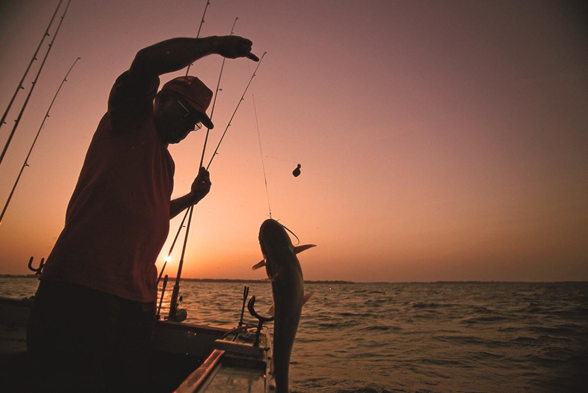 How To Catch The Most Catfish This Summer Kansas Magazine