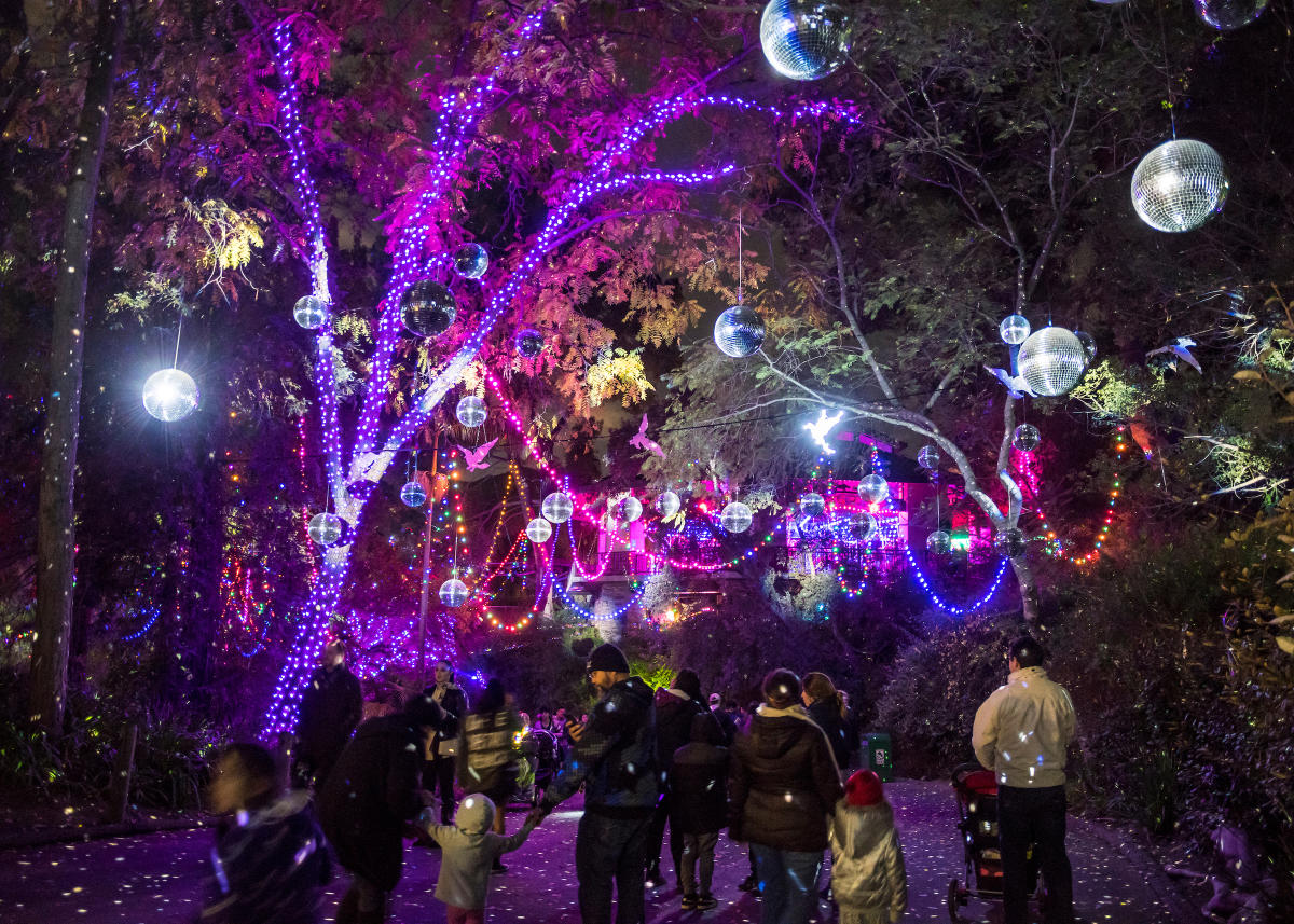 Wild Lights at the Elmwood Park Zoo