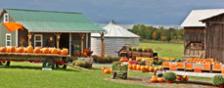 fallsenecacountycham_6594e3.jpg