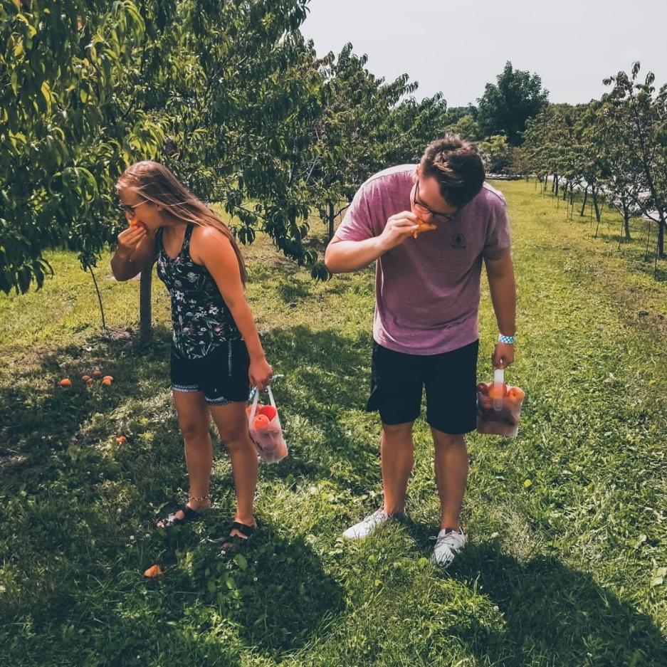 Peach Picking Apple Holler