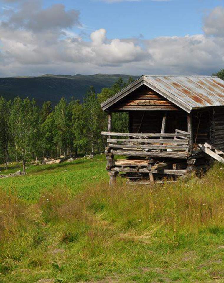 Fly fishing at Groven Mountain Lodge, Nature Attractions, Geilo