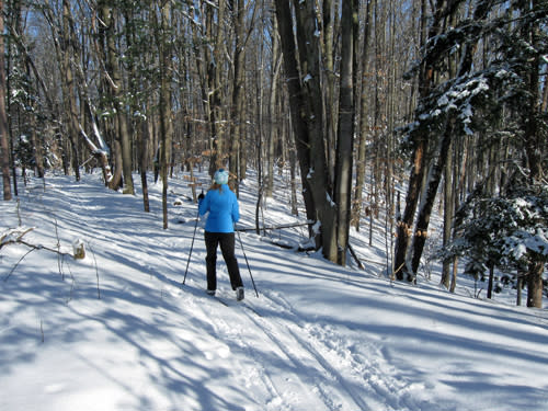 Winter Hiking in Grand Rapids