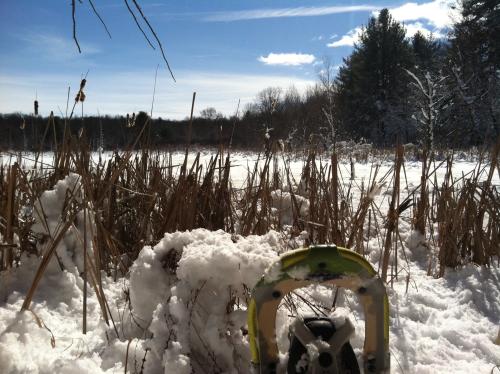 Snowshoeing in Grand Rapids