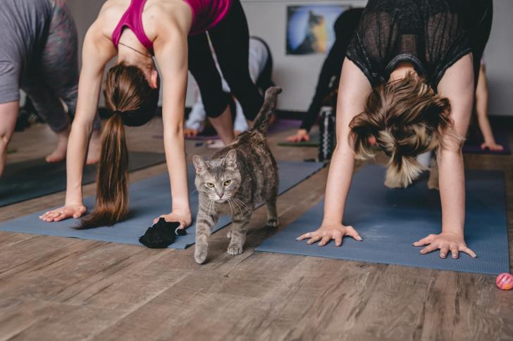 4 Places In Grand Rapids That Offers Yoga Craft Beverages