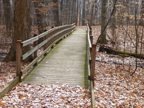 Bridge on a trail at Calvin College Ecosystem Preserve in Grand Rapids.
