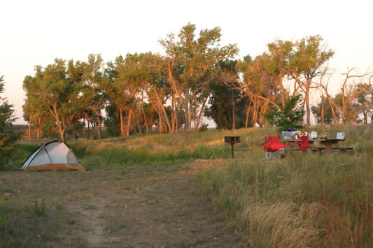Grassland