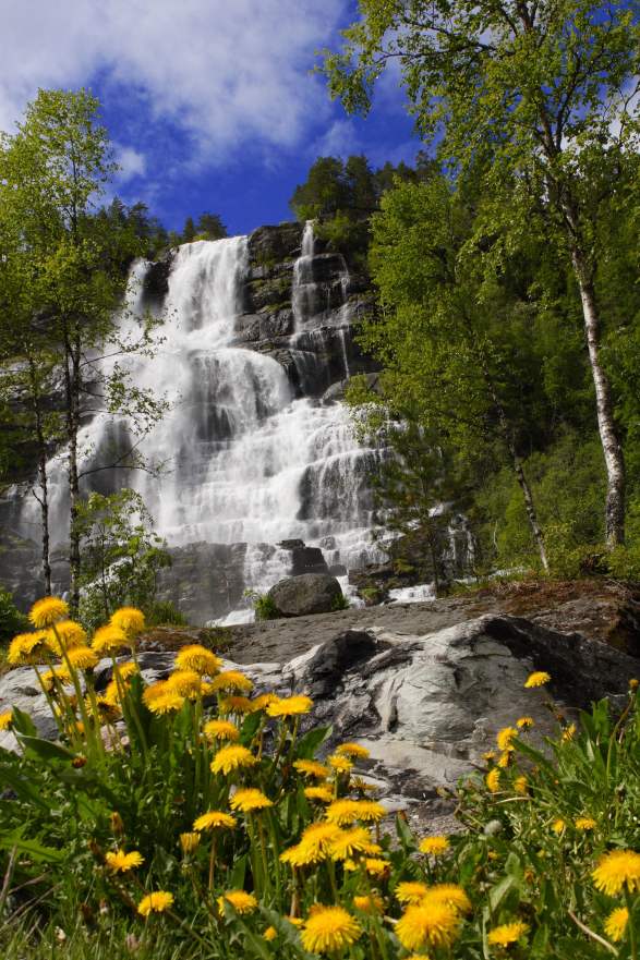 Tvindefossen Waterfall Nature Attractions Voss Norway