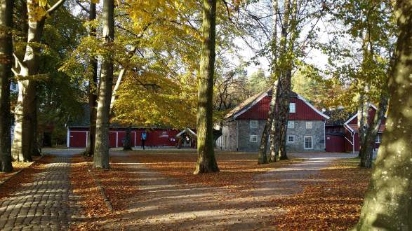 Natural History Museum And Botanical Garden In Kristiansand Family Activities Kristiansand S Norway