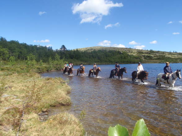 savalen karta Ridning   Savalen Hestesenter | Family Activities | Tynset | Norway