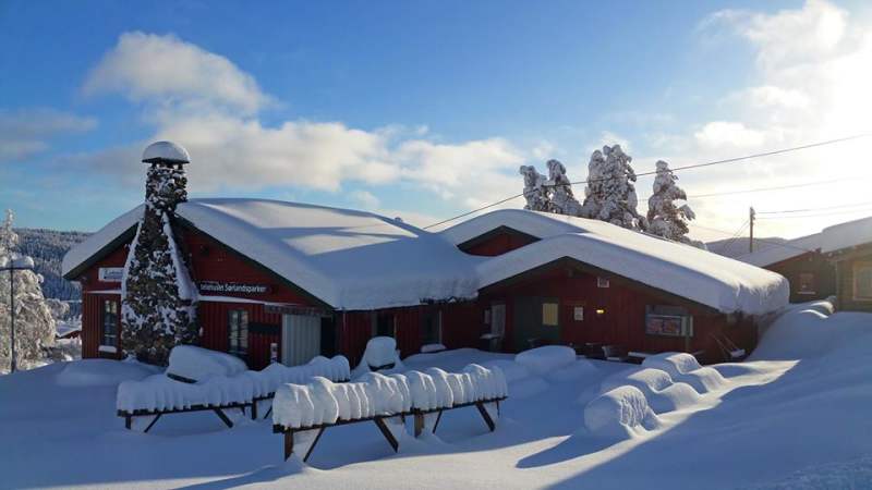 Hvit jente suger store svarte haner