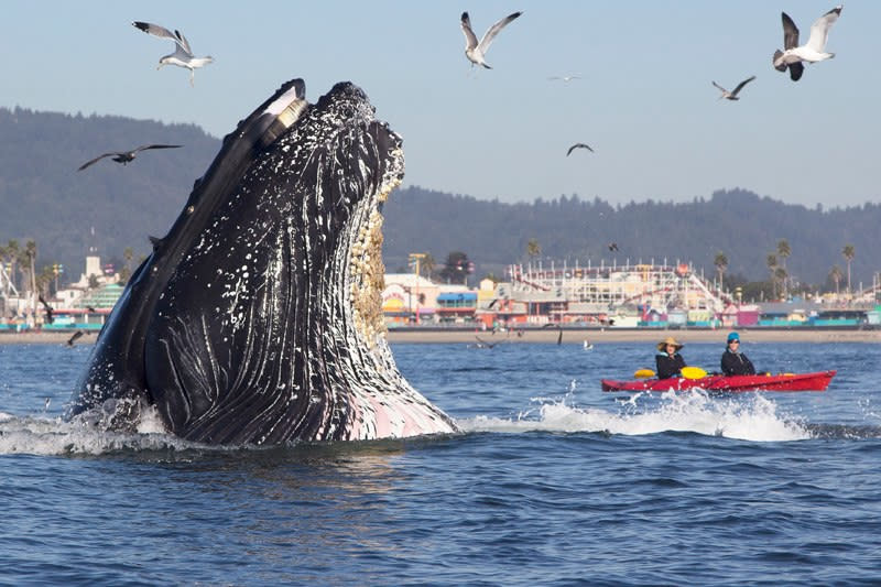 Sanctuary Cruises