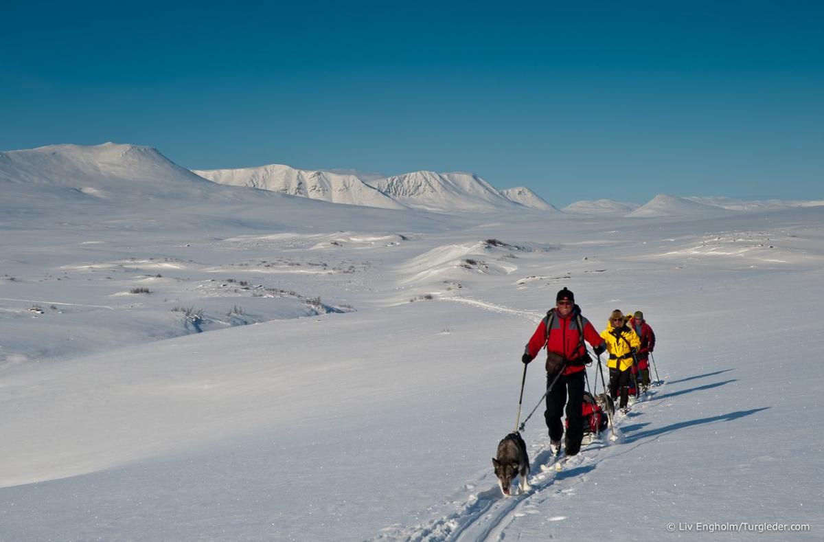 9 days - Finnmark Plateau West – East Skiing Expedition