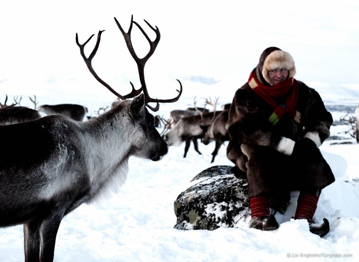 Reindeer herder experience Wildlife & Safaris Norway