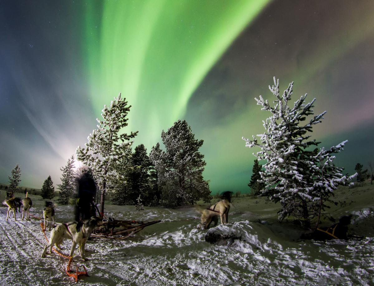 SnowHotel Kirkenes - Hunting northern lights with Husky