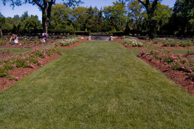 park frances lansing
