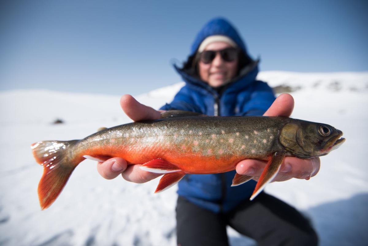 Ice fishing with your personal guide