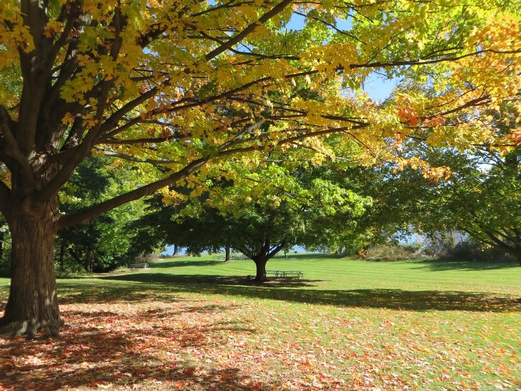 Caledonia Lakeside Park Parks in Caledonia, MI