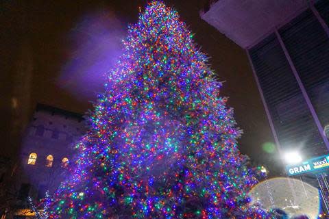 Annual Christmas Tree Lighting Ceremony | Holiday Activities in Grand Rapids, MI