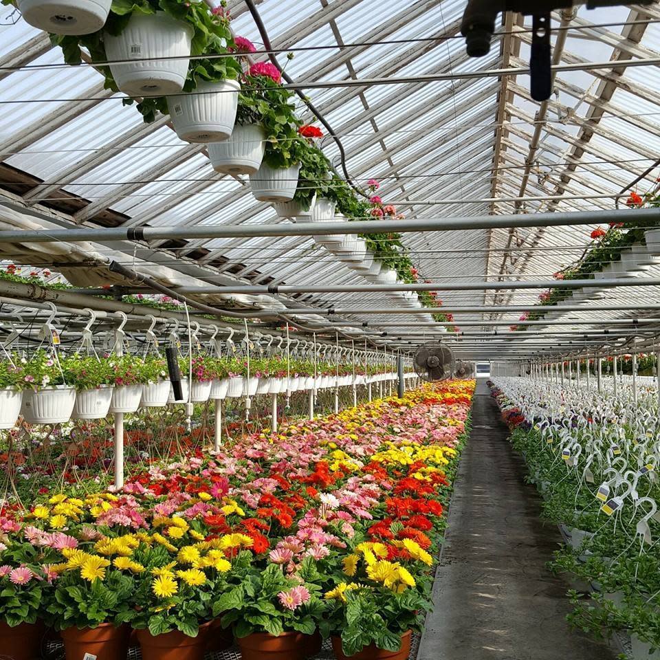Huizenga Bros. Greenhouses Inc. Shopping in Grand Rapids, MI