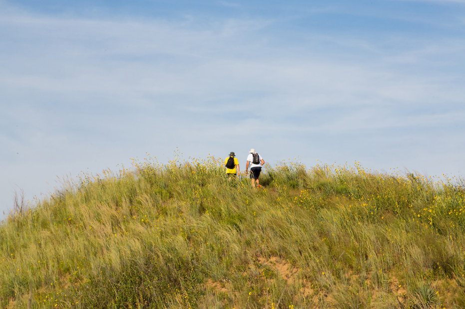 Sand Hills State Park | Hutchinson, KS 67502