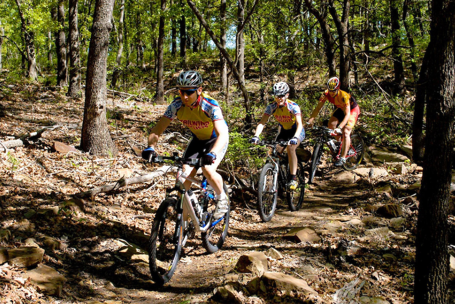 Toronto Reservoir Cross Timbers State Park And Toronto Wildlife