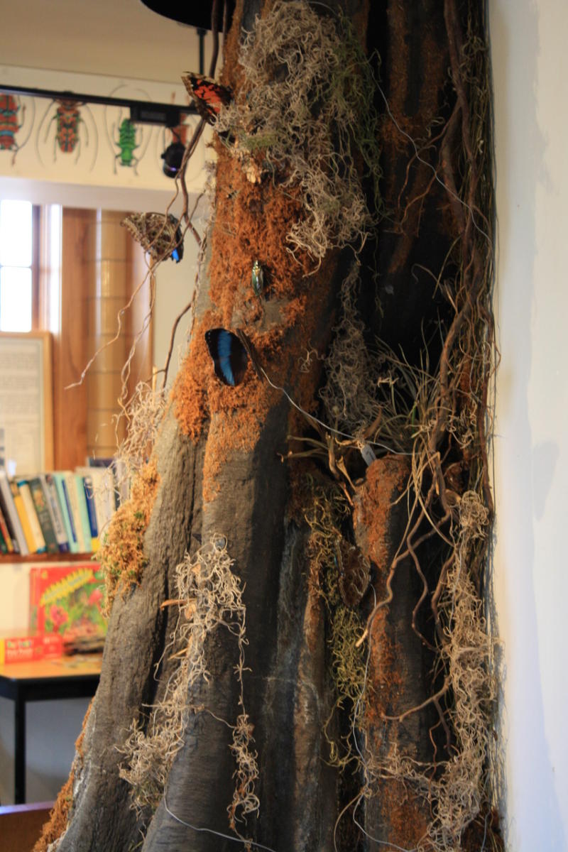 KState Insect Zoo KSU Manhattan, KS 66506