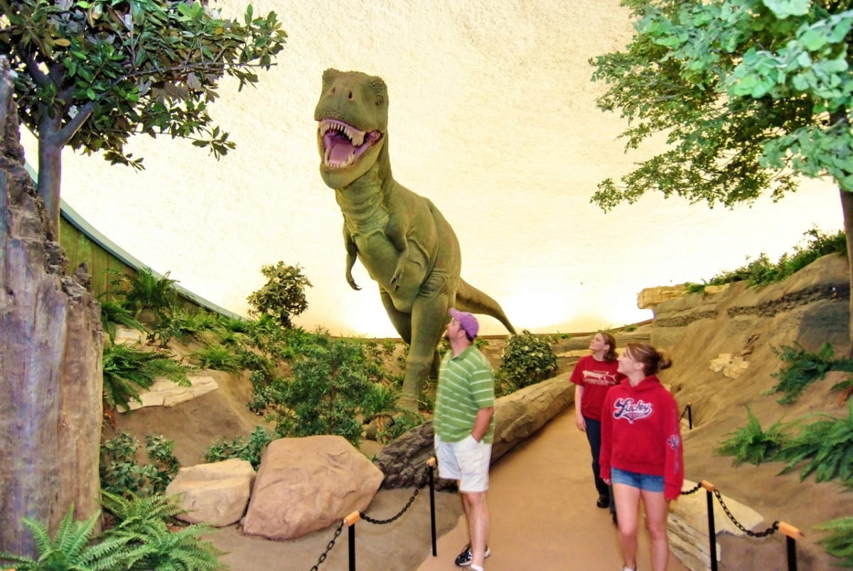 Web thinking about a visit to the sternberg museum of natural history? Sternberg Museum of Natural History Hays, KS 67601