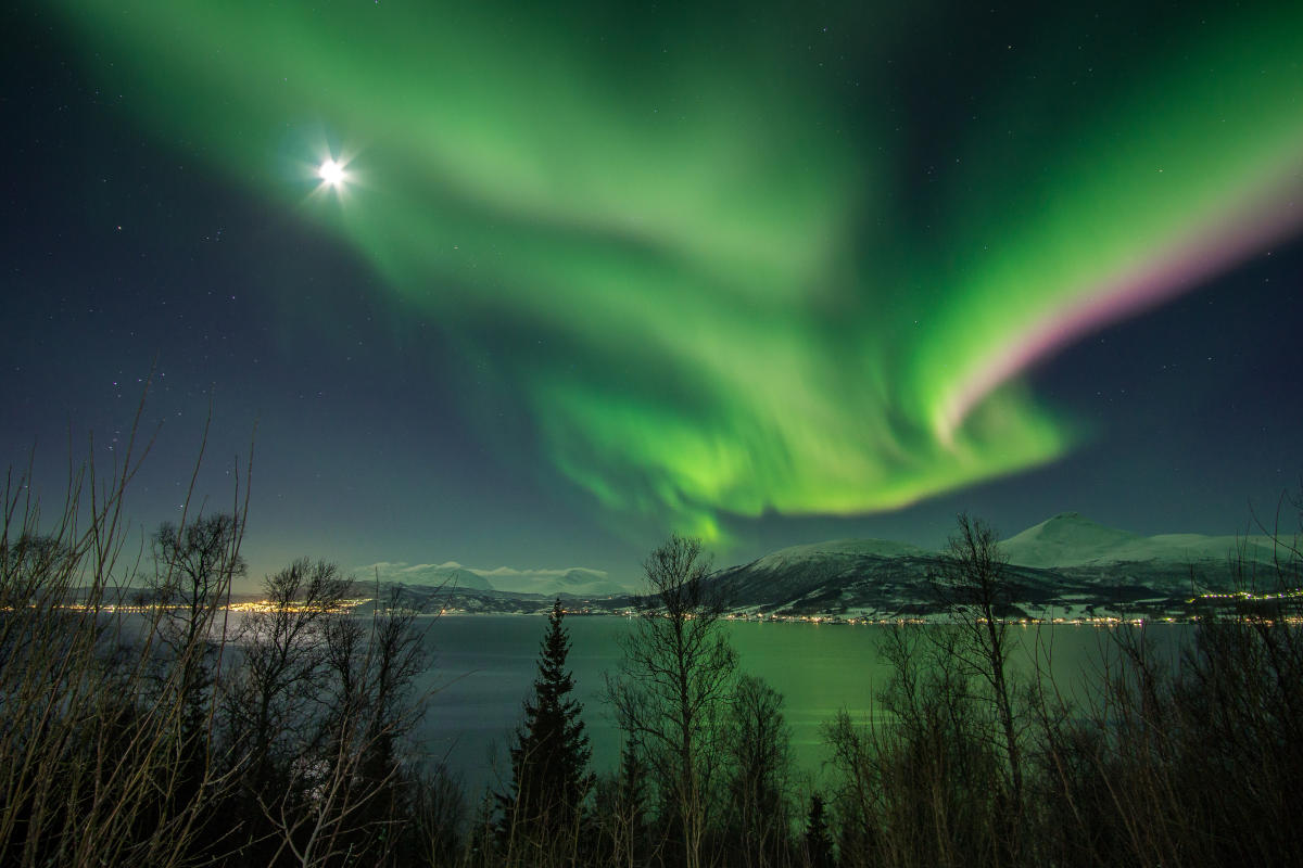 Blueberry Travel Company Tour operator Norway