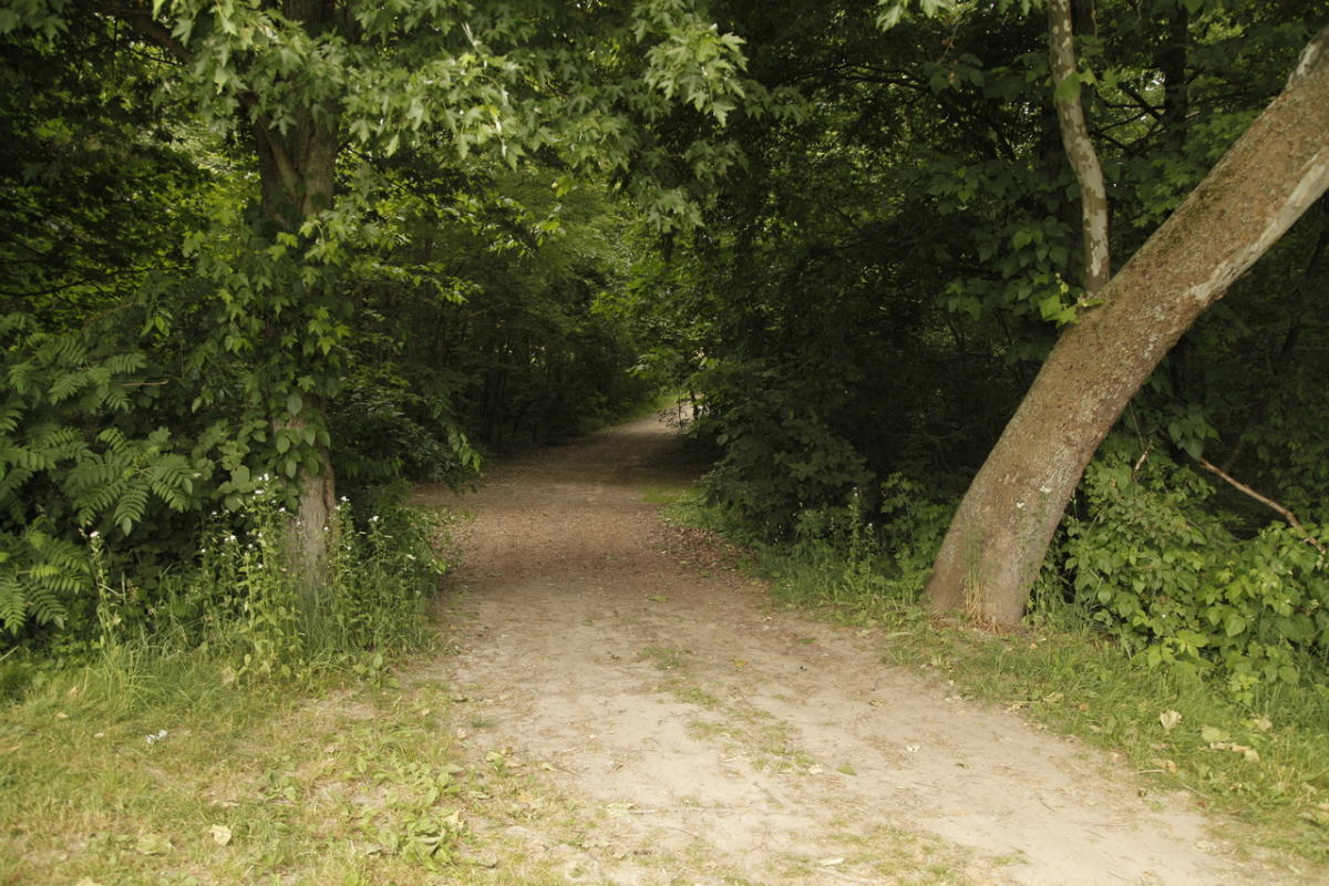 Caledonia Lakeside Park Trail Parks in Caledonia, MI