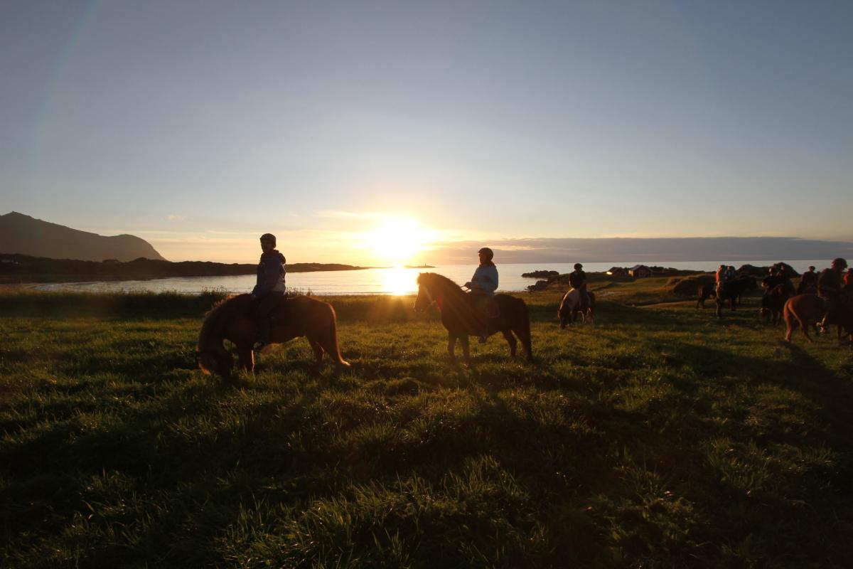 Lofoten by Horse - Horsebackriding on Icelandic Horses in Lofoten