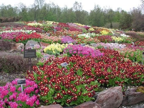 Arctic Alpine Botanic Garden Nature Attractions Tromso Norway