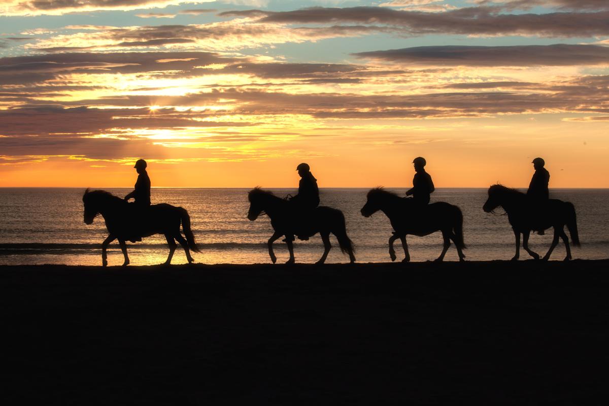 Horseback riding under the Midnight Sun in Lofoten