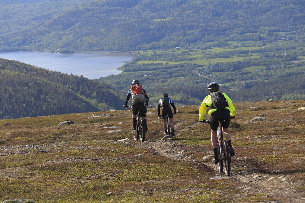 Tour de Finnmarksvidda (4 days)