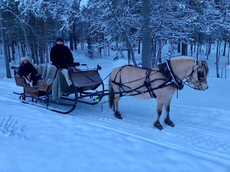 Sleigh Ride In The Arctic Countryside Riding Sledging Alta Norway