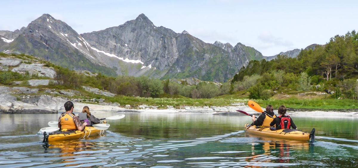 Kayak trip- Half day with Lofoten Aktiv