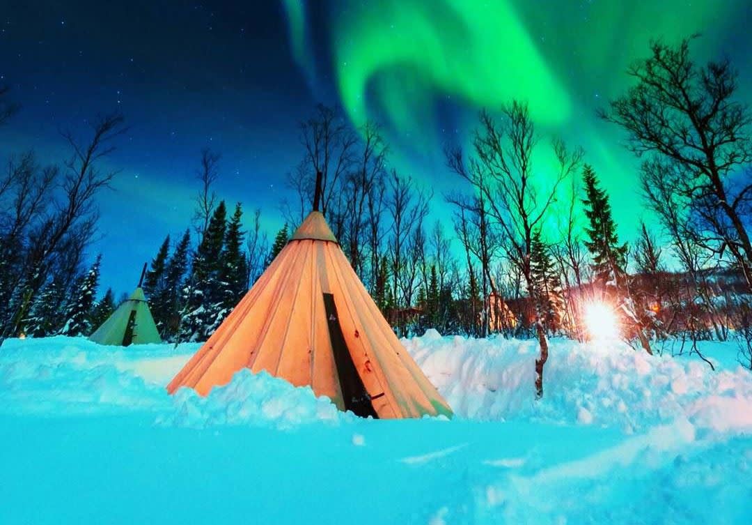 Overnight Reindeer Sledding and Northern Lights