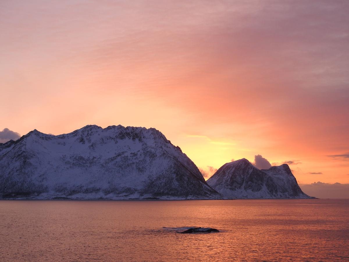 Polar Midnight Cruise From Tromso Polar Adventures