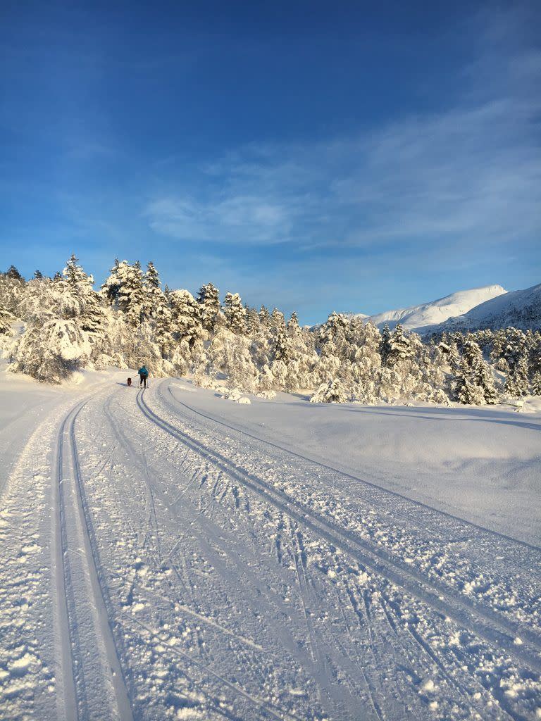Cross country skiing | Nordfjordeid